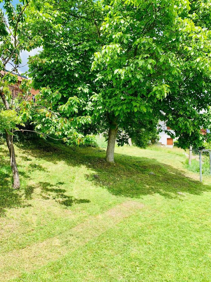 Mansarda La Soffitta Lejlighedshotel Domegge di Cadore Eksteriør billede