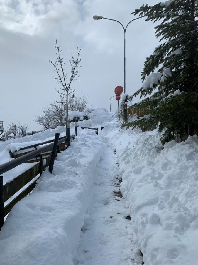 Mansarda La Soffitta Lejlighedshotel Domegge di Cadore Eksteriør billede