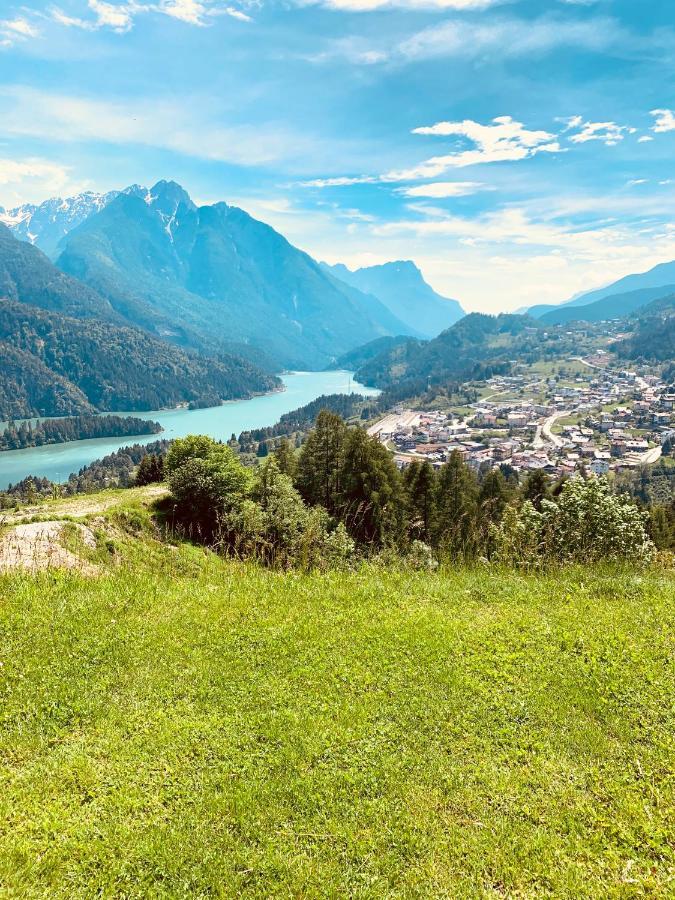 Mansarda La Soffitta Lejlighedshotel Domegge di Cadore Eksteriør billede